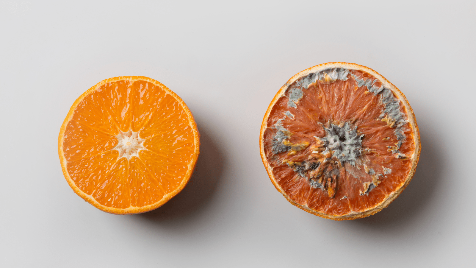 Preserving Freshness and Profits Bluezone ROI Calculator for Thermo